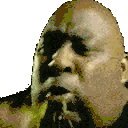 Pickles animated emote