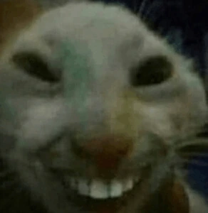 cat_with_teeth emote