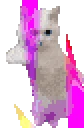 CatTimeRave emote