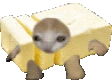 Buttercatrun emote