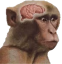 NeuronActivation emote