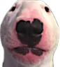 walter emote