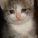 sad_cat_lol emote
