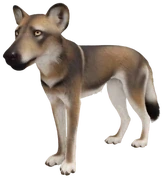 EcosResonantCoat emote