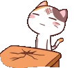 head_banging_cat emote