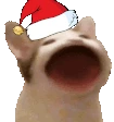 christmas_popcat emote