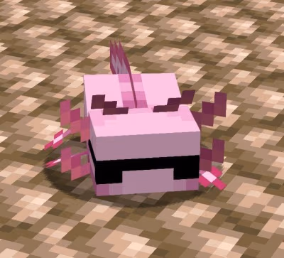 AxolotlHuff emote