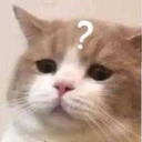 CE_CatQuestion emote