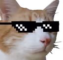 CatCuteSwag emote