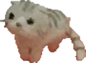el_wiwi emote