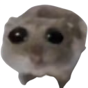 Hamster_sad emote