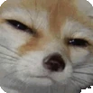 StareGif emote