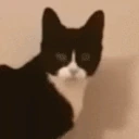 mee emote