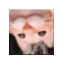 pwgood3D animated emote