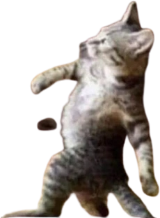 Catwalk emote