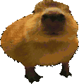GortPride animated emote