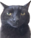mirostro emote