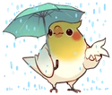 birbrain emote