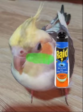 disguting emote