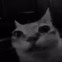Despairm emote