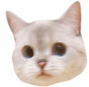 Nana_huh emote