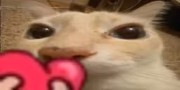 otagL emote