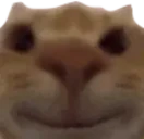 SmileStare emote