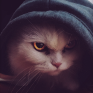 cyb3rk avatar