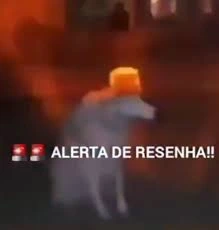 Resenha emote