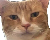 DontTalking emote