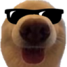 dawg_cool static emote