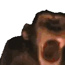 MONKE emote