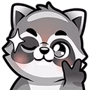 Raccoon_160_13 emote