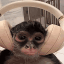 monkeyHead animated emote