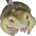 SheeshJulioFrog emoji