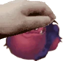 PetTheNomsyy emote