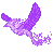 Purple_Phoenix emote