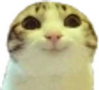 hihi emote