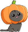 pumpkin_cat emote