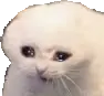 crying_cat2 emote