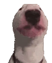 walterJAM emoji