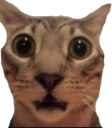 AYCABRON emote