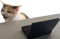 NotWatchingStream emote