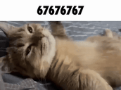 67 animated emote