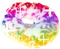 GayPizzaBagel emote
