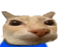 otagi emote