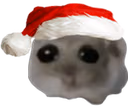oh emote