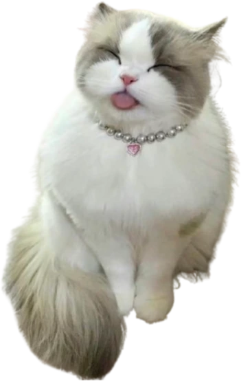 cutecattongue emote