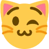 wink_cat emote