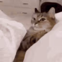 CE_NoReturn2 emote